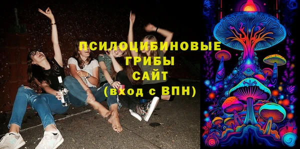 дживик Богородск