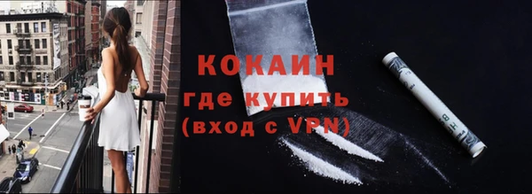 дживик Богородск