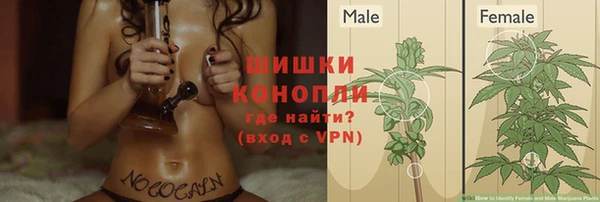 кокаин колумбия Богданович