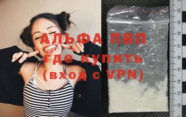 дживик Богородск