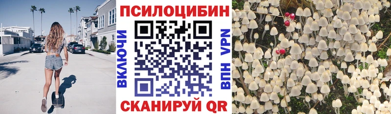Купить  Снежинск  Псилоцибиновые грибы Magic Shrooms 