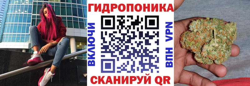 Конопля ГИДРОПОН  Купить где  Снежинск 